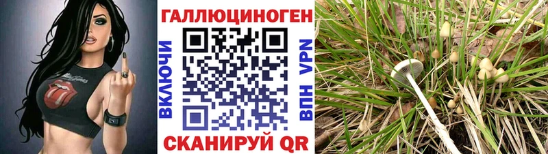 KRAKEN как войти  Лысьва  Псилоцибиновые грибы Psilocybine cubensis 